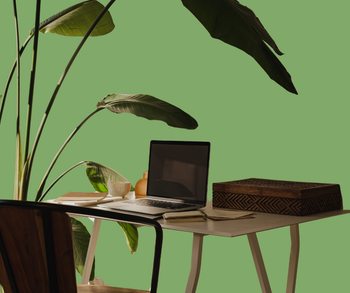 Raemo Kantoor Planten