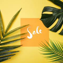 Collection image for: Sale