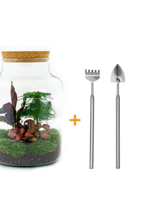 DIY Terrarium Set - Creëer Je Eigen Mini-Jungle