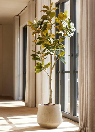 Magnolia Denudata - 150 cm - Kunstboom - Kunstplant