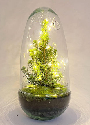 DIY Terrarium - Egg Christmas - 25cm - Kerst Decoratie