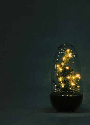DIY Terrarium - Egg Christmas - 25cm - Kerst Decoratie