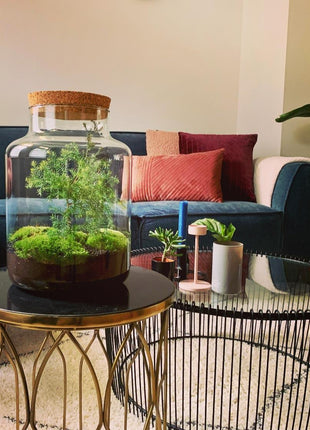 DIY Terrarium - Jar Christmas - 28cm - Kerst Decoratie