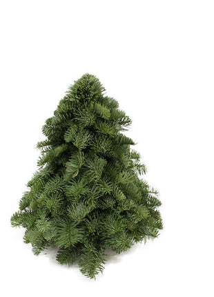 Nobilis Kerstboom - ↕30cm