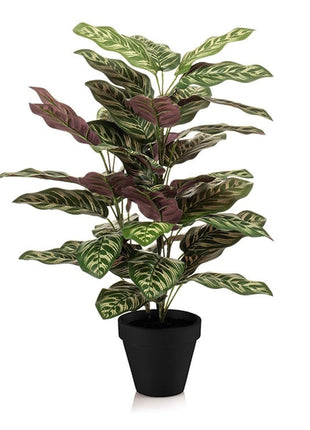 Calathea in pot - 65 cm hoog - Kunstplant