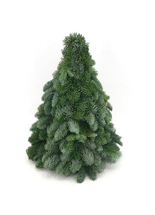 Nobilis Kerstboom - ↕40cm