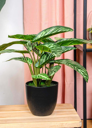 Calathea Zebrina in zwarte pot - 42 cm hoog - Kunstplant