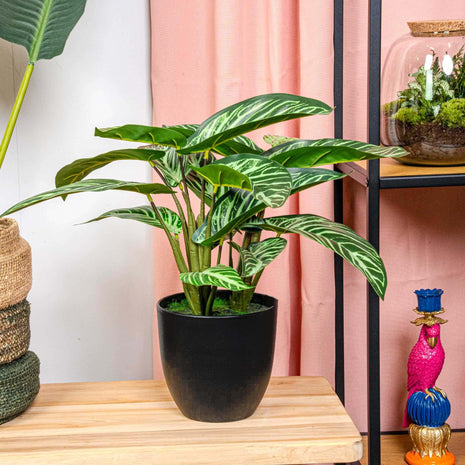 Calathea Zebrina in zwarte pot - 42 cm hoog - Kunstplant