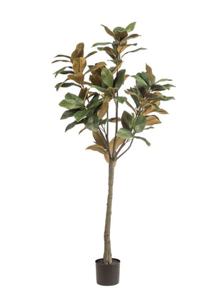 Magnolia Denudata - 150 cm - Kunstboom - Kunstplant