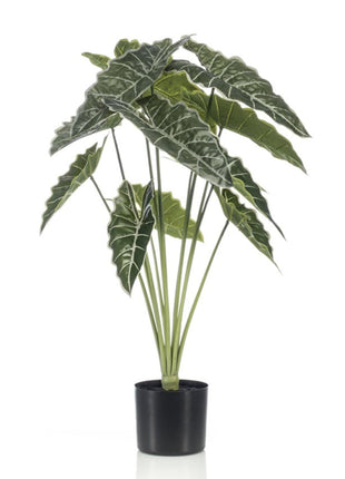 Alocasia 80cm - Kunstplant