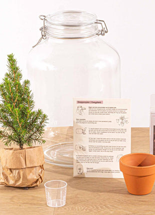 Easyplant - Christmas - Kerst decoratie - ↕ 28 cm