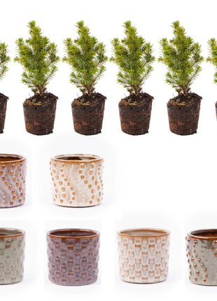 Mini Kerstboom Set - 6 Stuks - Met Pot Set Madrid - + LED Verlichting