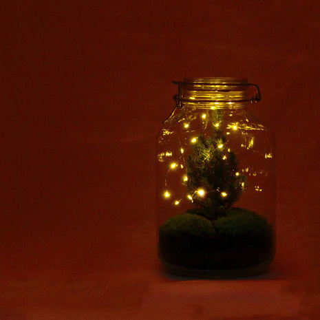 DIY Terrarium - Jar Christmas - 28cm - Kerst Decoratie