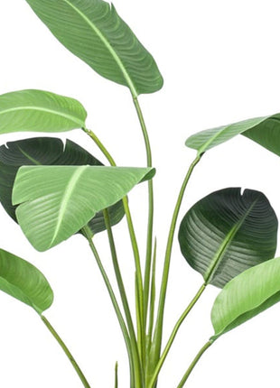 Strelitzia - 120cm - In zwarte pot - Kunstplant