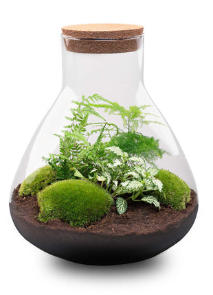 DIY Terrarium Set - Creëer Je Eigen Mini-Jungle