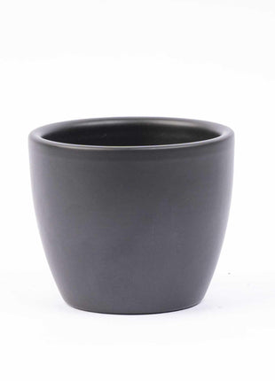 Mini Kerstboom Set - 6 Stuks - Met Pot Boule Antraciet