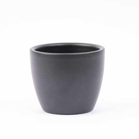 Mini Kerstboom Set - 6 Stuks - Met Pot Boule Antraciet