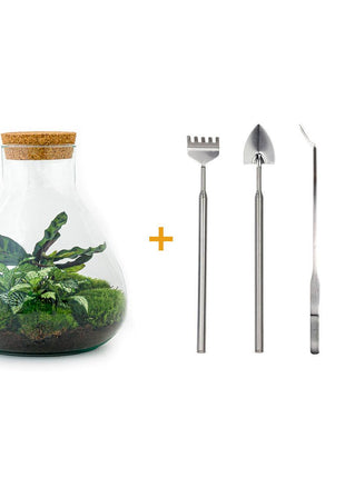 DIY Terrarium Set - Creëer Je Eigen Mini-Jungle