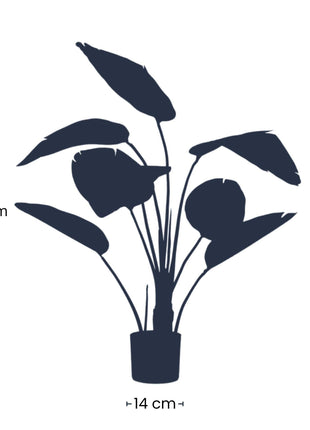 Strelitzia - 120cm - In zwarte pot - Kunstplant