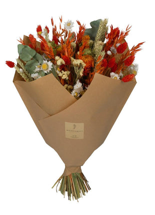 Droogbloemen - Classic Bouquet - Orange - 4 boeketten - ↕60cm
