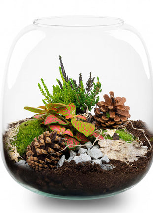 Berry Kerstmis terrarium - Planten terrarium  - DIY kit Christmas - Ø 19 cm ↑ 20 cm