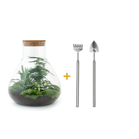 DIY Terrarium Set - Creëer Je Eigen Mini-Jungle