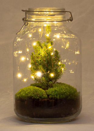 DIY Terrarium - Jar Christmas - 28cm - Kerst Decoratie
