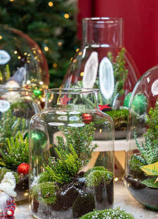 Holly Christmas terrarium - Bottle garden DIY kit - Ø 29 cm ↑ 30